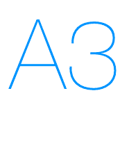 A3